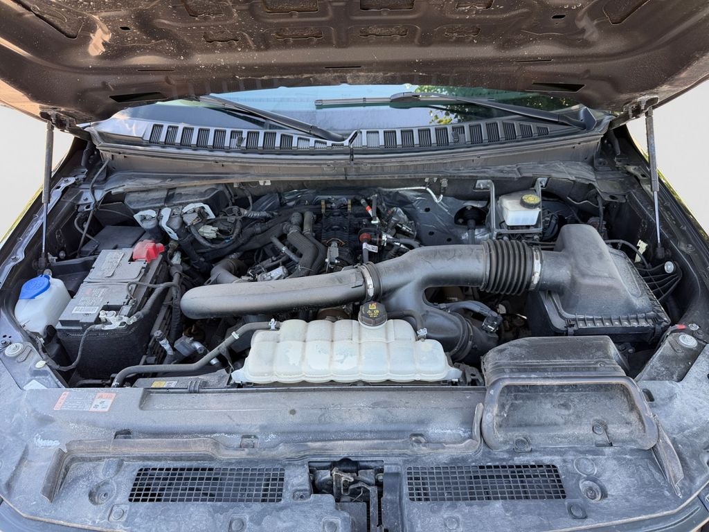 2023 Ford Expedition XLT